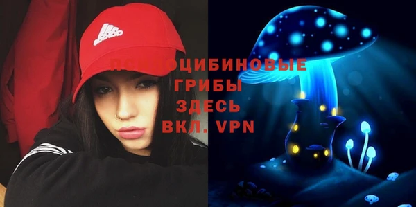 кокс Алексин