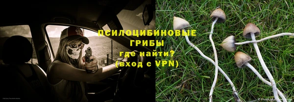 прущие крисы Алзамай
