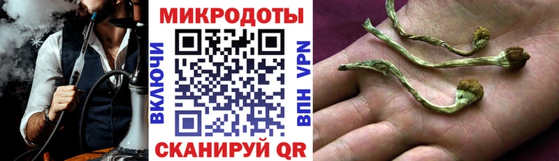Псилоцибиновые грибы Psilocybe  Калач-на-Дону 